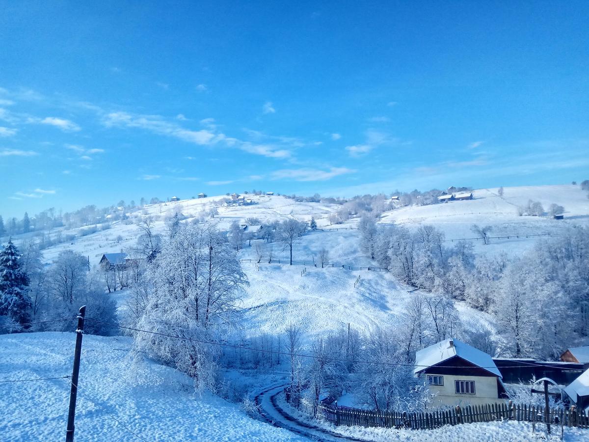 Villa Дзвін Карпат à Lazeshchyna Extérieur photo