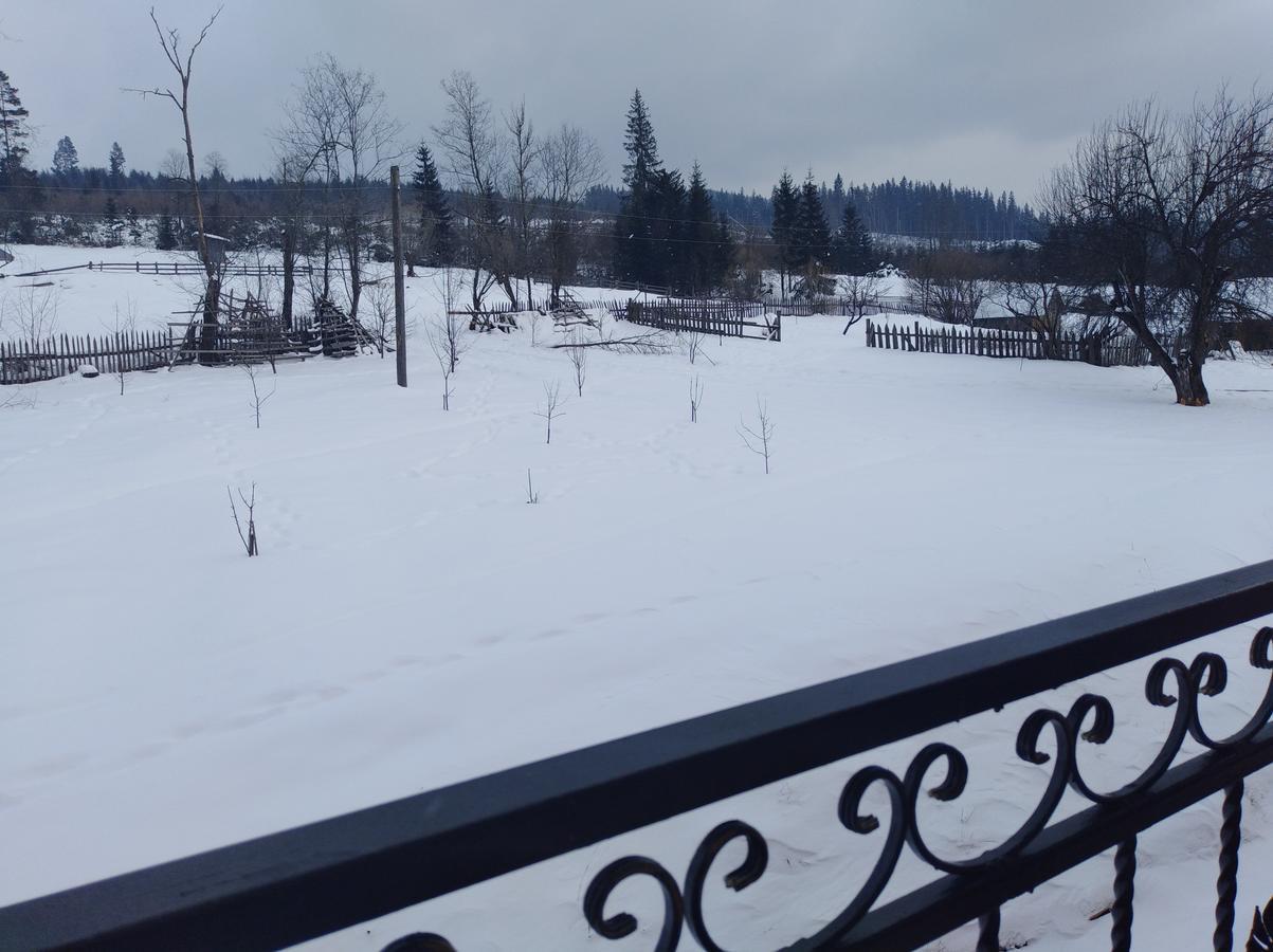 Villa Дзвін Карпат à Lazeshchyna Extérieur photo